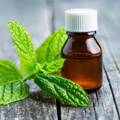 Medicamentos Fitoterápicos: para que servem?