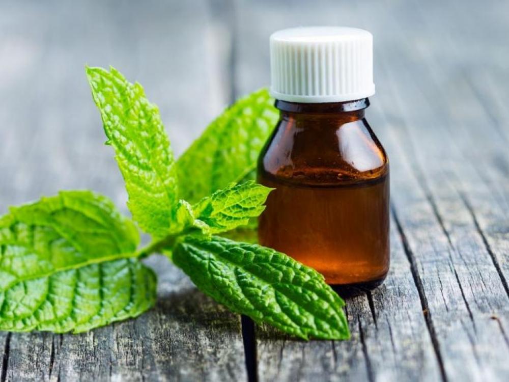 Medicamentos Fitoterápicos: para que servem?