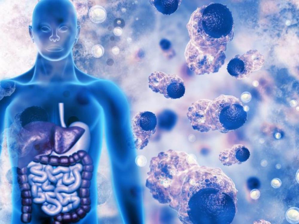 O que é Estresse Oxidativo? 