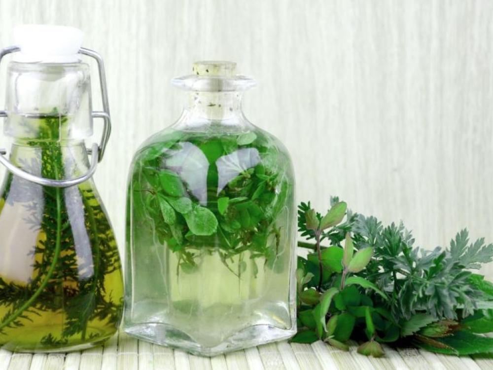 Herbalismo e Fitoterapia: o que essas terapias têm em comum?