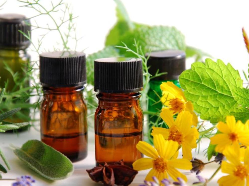 Como usar as plantas medicinais de forma correta?